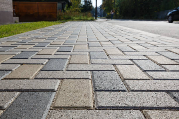 Best Interlocking Driveway Pavers  in Spring Grove, MN